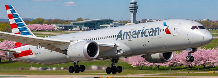 AMERICAN AIRLINES