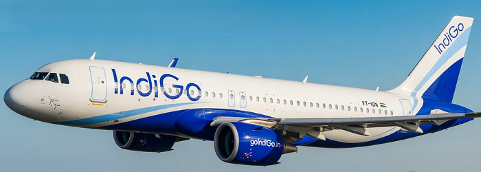 INDIGO