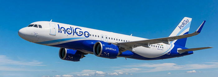 INDIGO