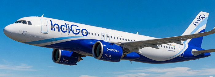 INDIGO