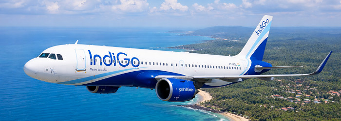 INDIGO