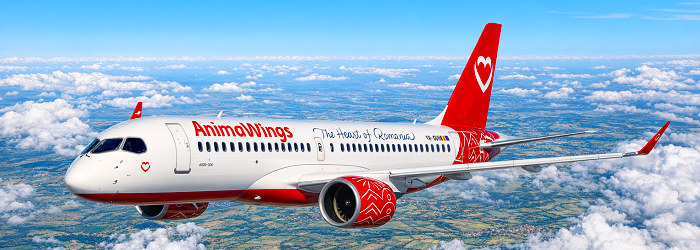 ANIMAWINGS