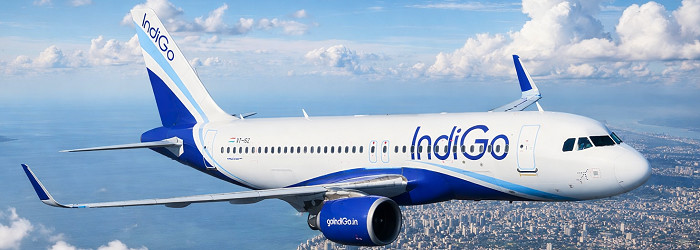 INDIGO